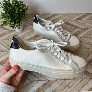 Sam Edelman | women white lace up sneakers